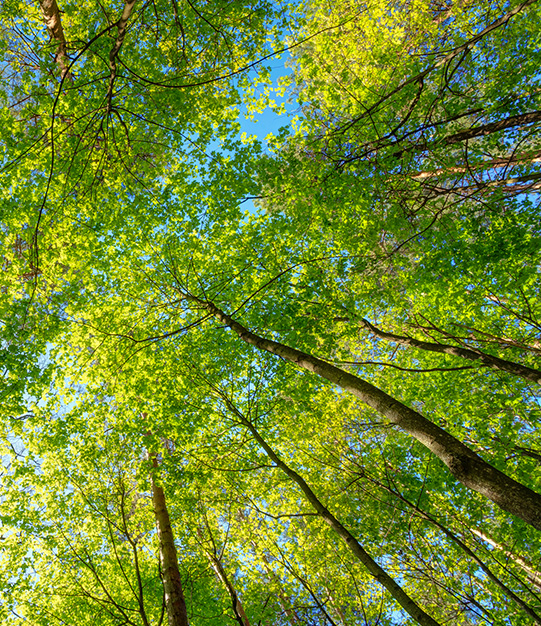 Epirus Palace ένα μοναδικό Παλάτι Εμπειριών στα Ιωάννινα