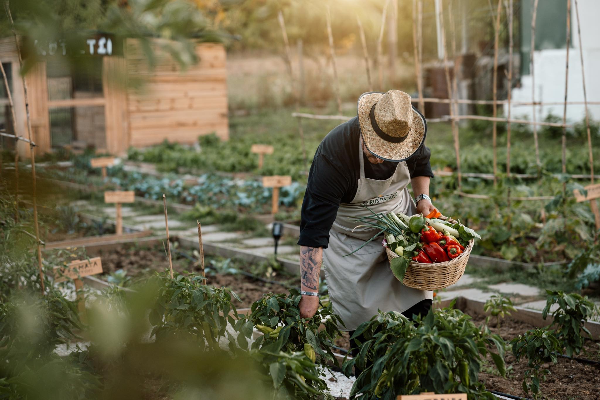 Φάρμα με ποιοτικά προϊόντα στο Epirus Palace στα Ιωάννινα