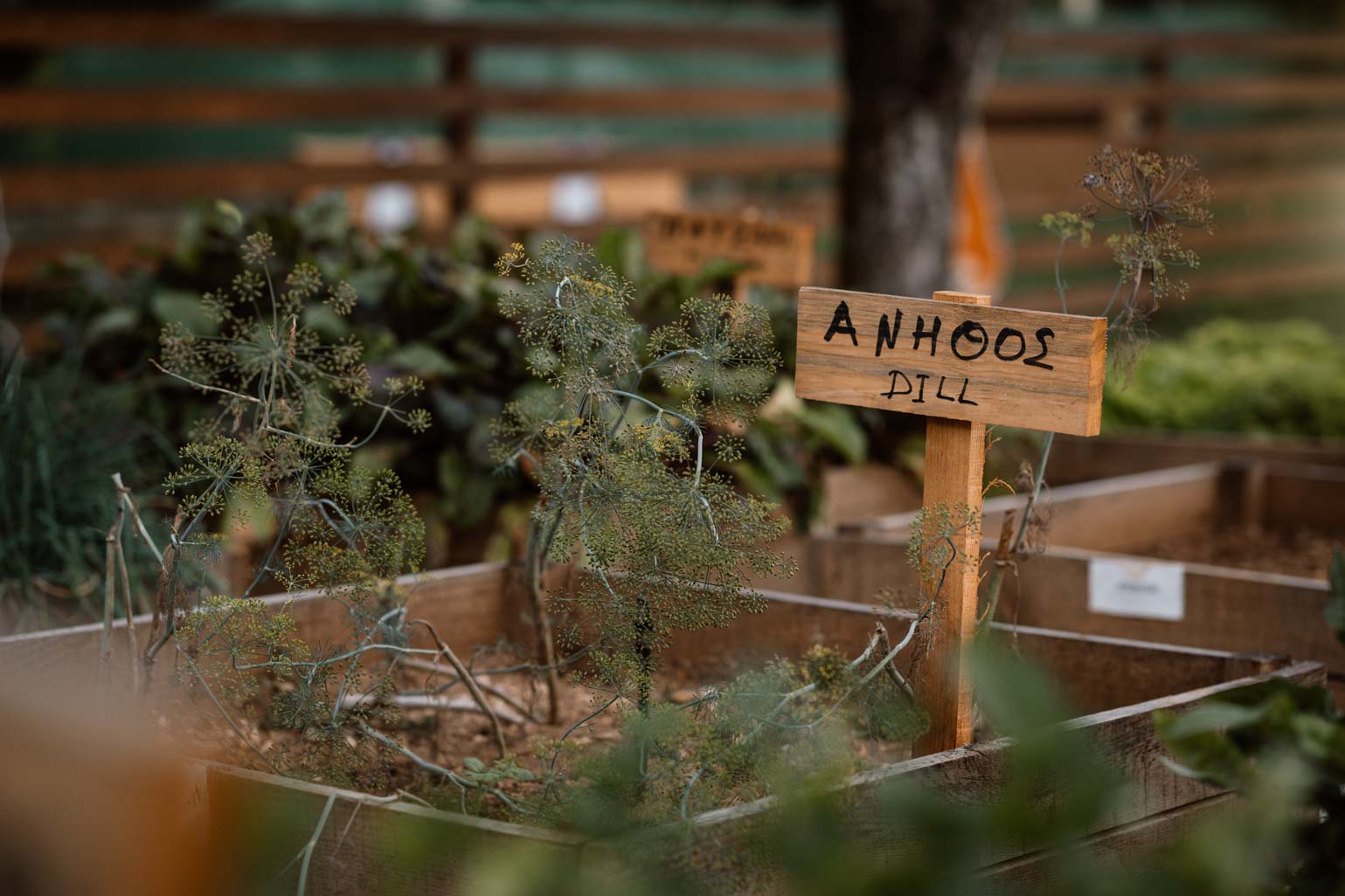 Η φάρμα στο Epirus Palace Congress & Spa Hotel στα Ιωάννινα είναι ένας χώρος όπου η φύση και η ανθρώπινη εμπειρία συναντώνται.