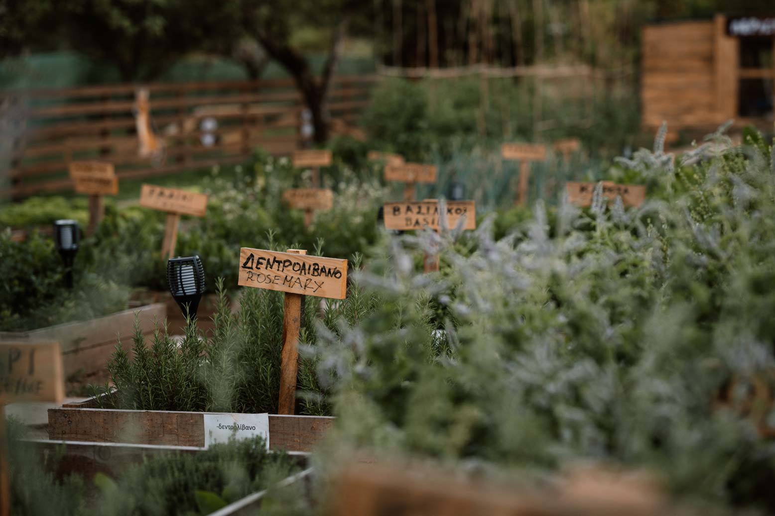 Η φάρμα στο Epirus Palace Congress & Spa Hotel στα Ιωάννινα είναι ένας χώρος όπου η φύση και η ανθρώπινη εμπειρία συναντώνται.