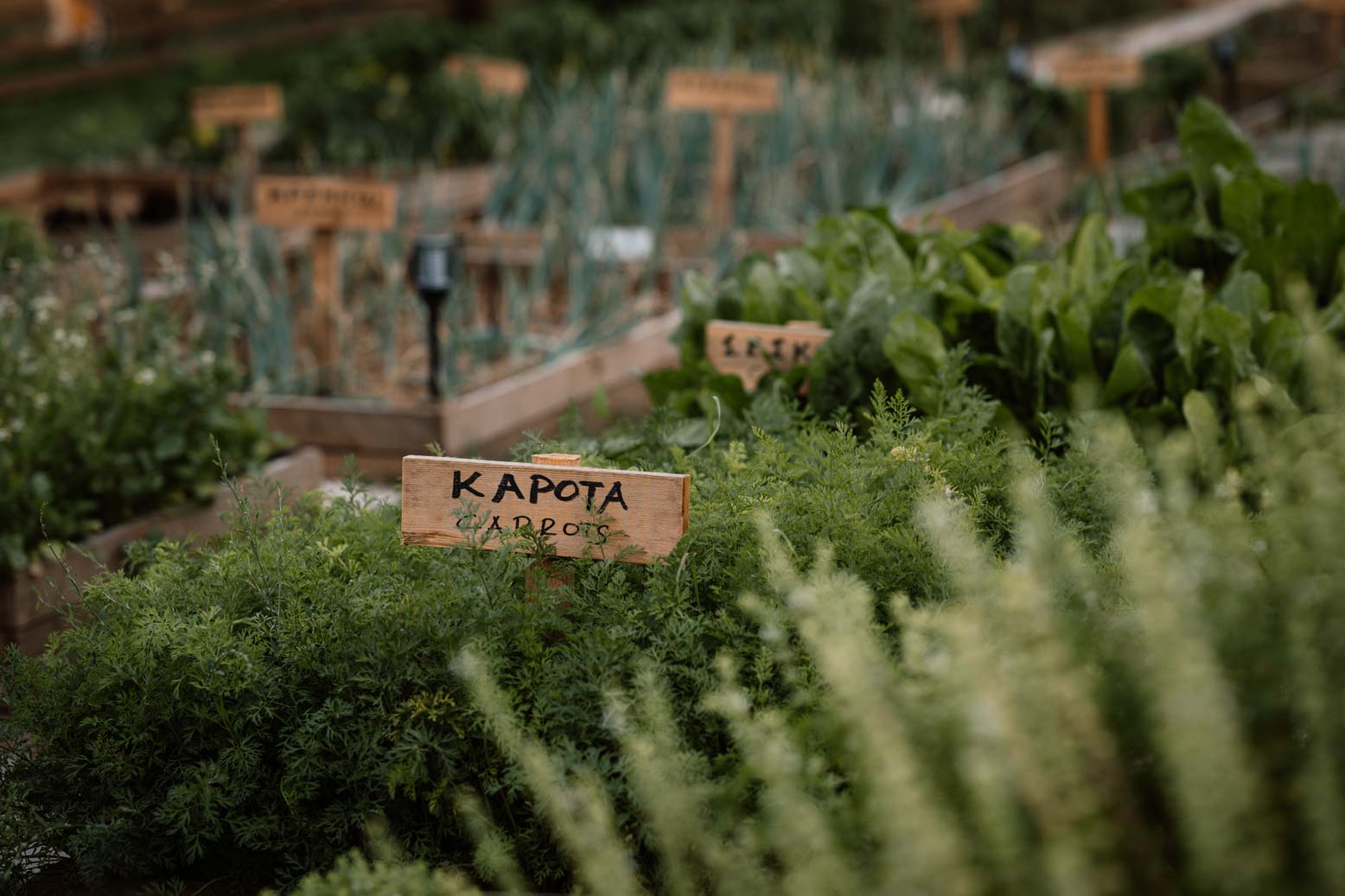 Η φάρμα στο Epirus Palace Congress & Spa Hotel στα Ιωάννινα είναι ένας χώρος όπου η φύση και η ανθρώπινη εμπειρία συναντώνται.