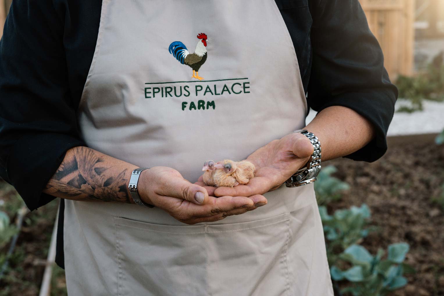 Η φάρμα στο Epirus Palace Congress & Spa Hotel στα Ιωάννινα είναι ένας χώρος όπου η φύση και η ανθρώπινη εμπειρία συναντώνται.