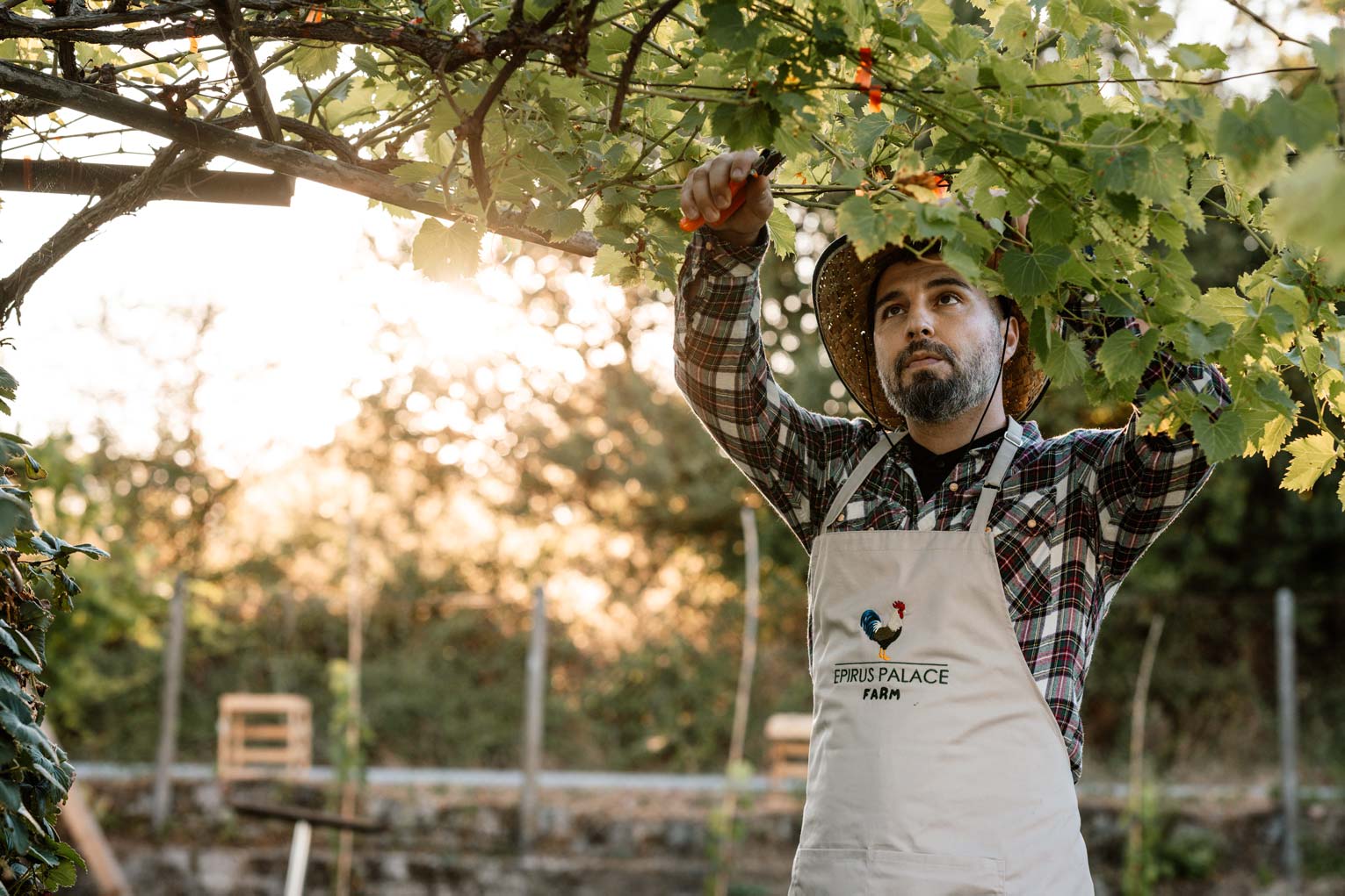 Η φάρμα στο Epirus Palace Congress & Spa Hotel στα Ιωάννινα είναι ένας χώρος όπου η φύση και η ανθρώπινη εμπειρία συναντώνται.