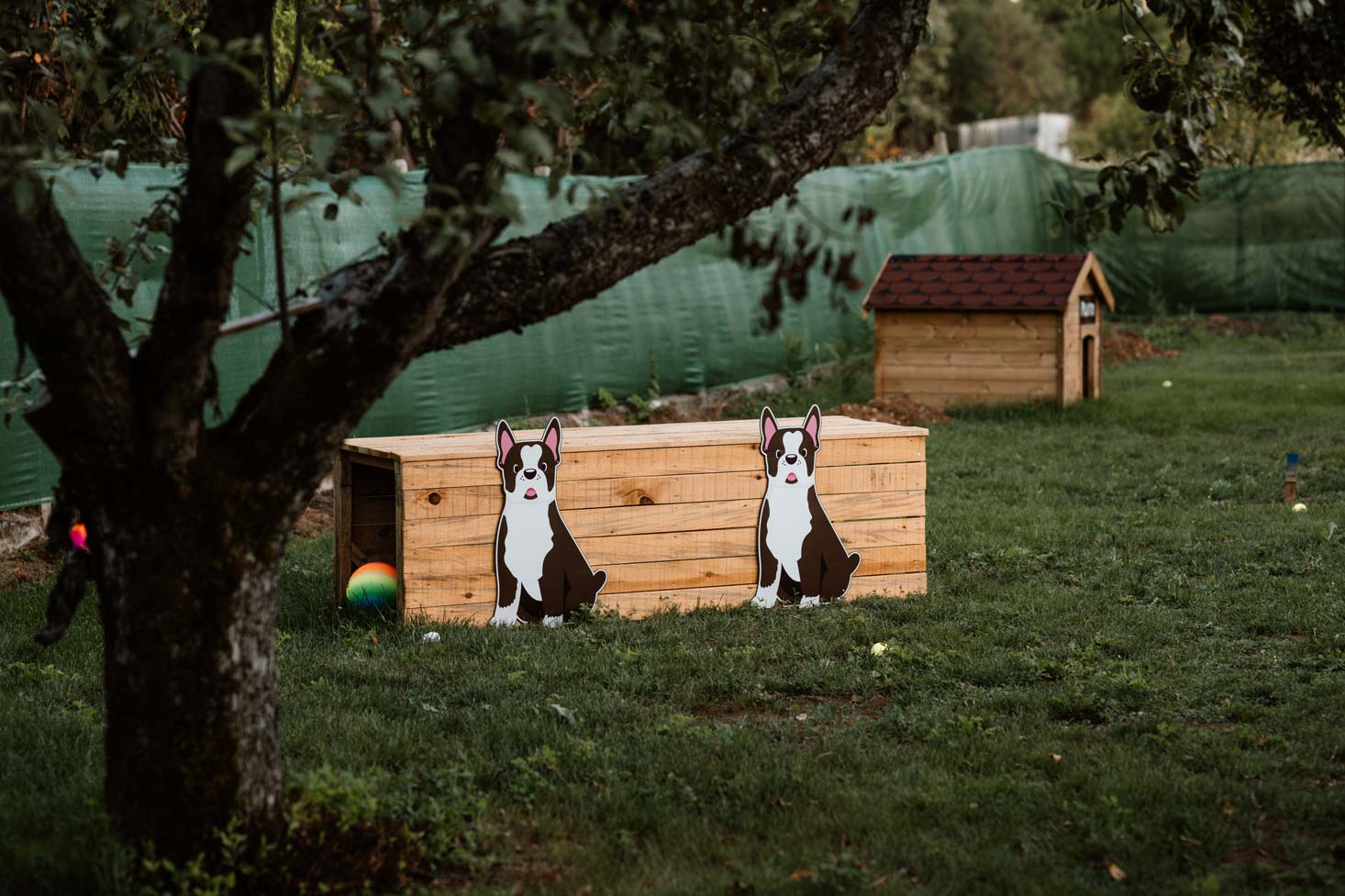 epirus-palace-dog-park-10