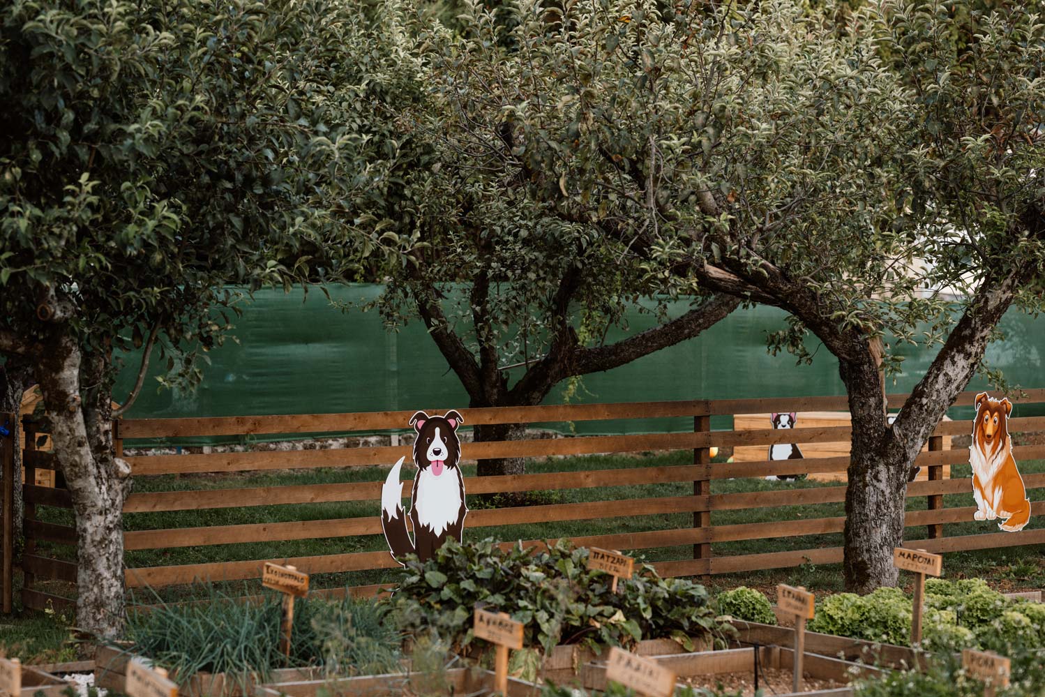 epirus-palace-dog-park-12