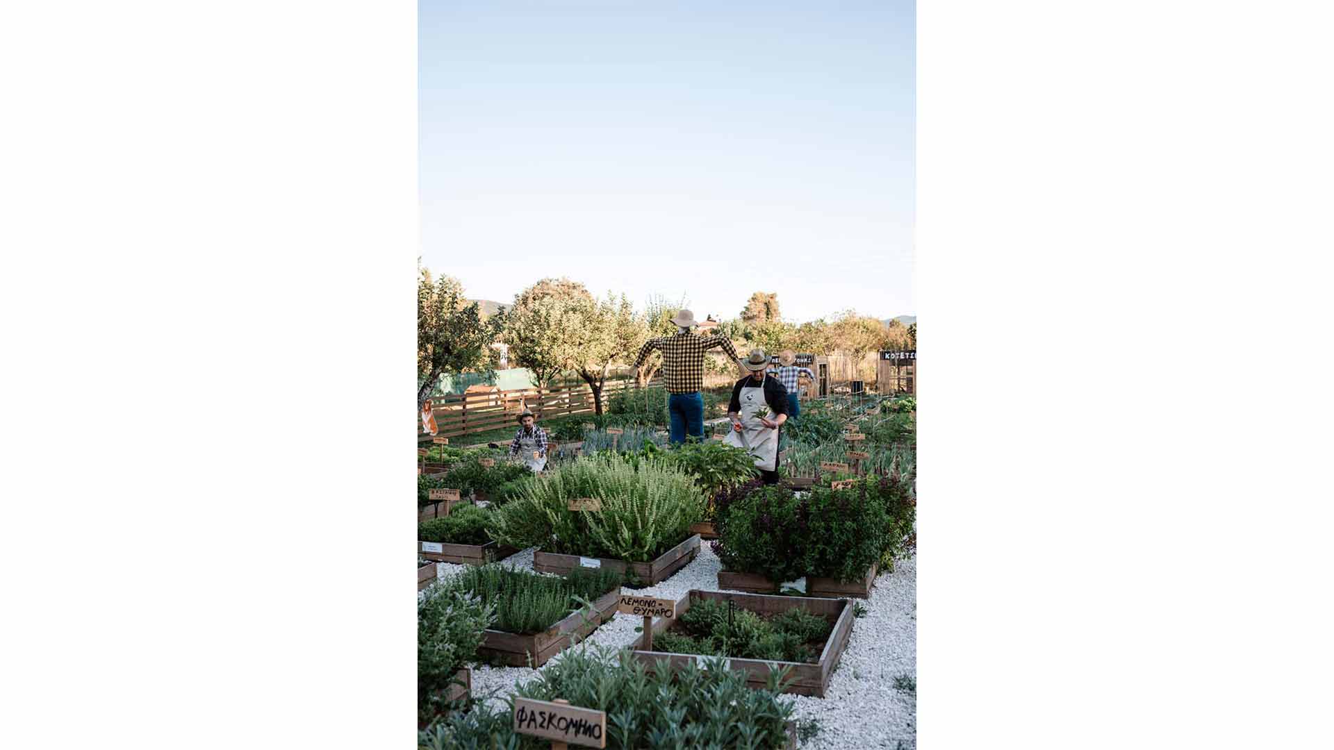 epirus-palace-dog-park-19