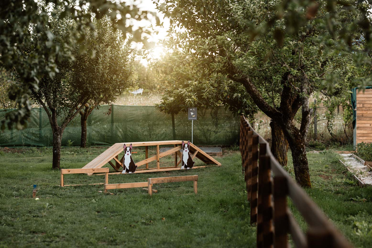 epirus-palace-dog-park-3