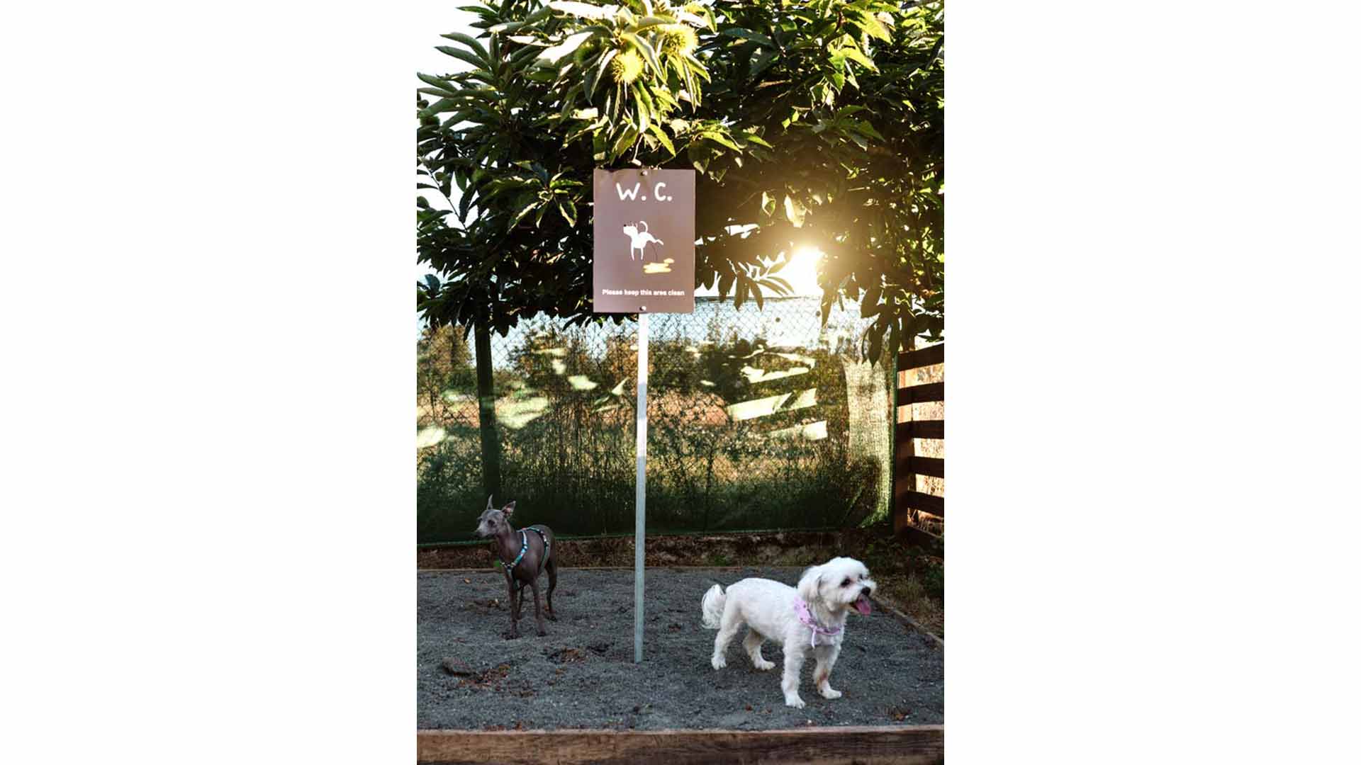 epirus-palace-dog-park-42