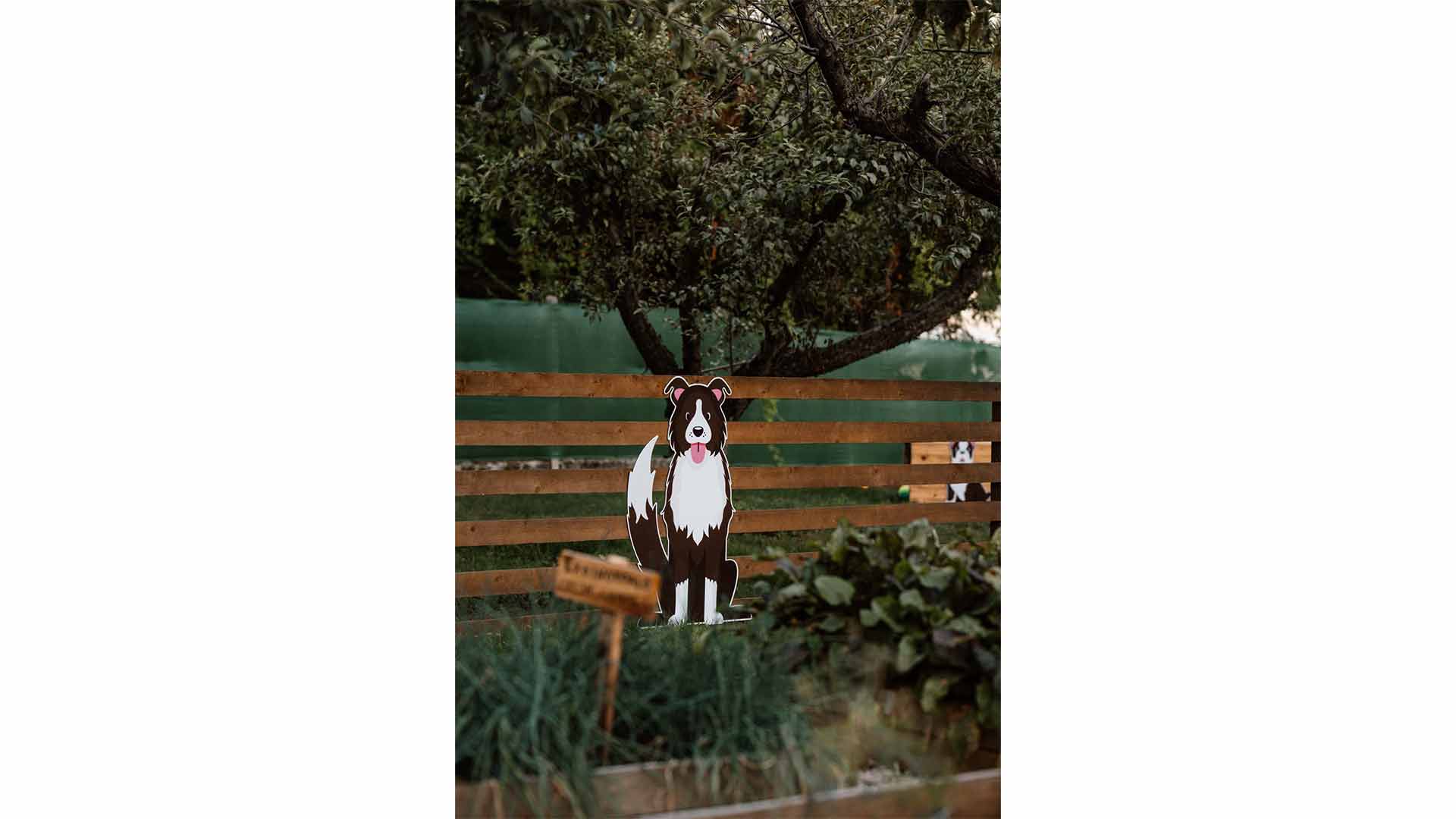 epirus-palace-dog-park-43