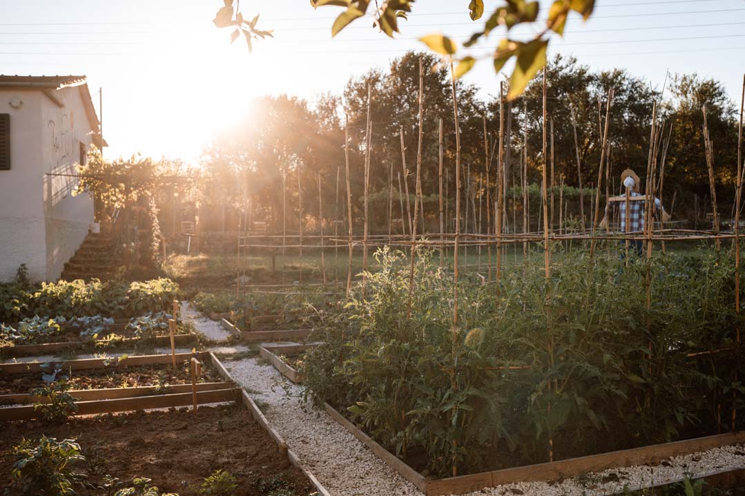 epirus-palace-farm-10