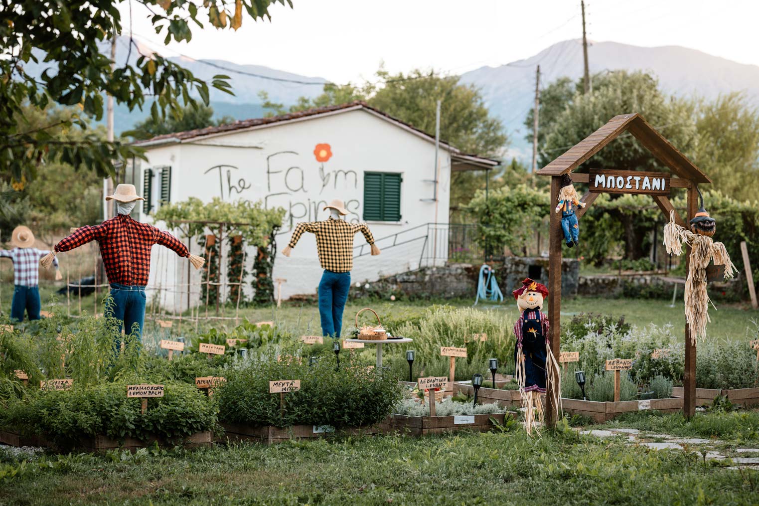 epirus-palace-farm-13