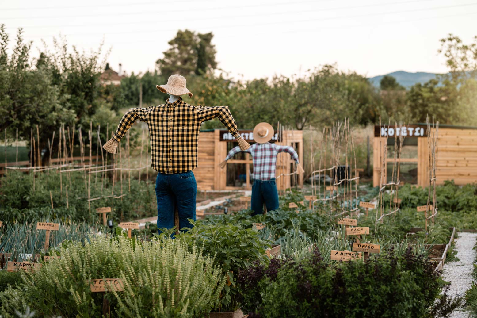 epirus-palace-farm-14