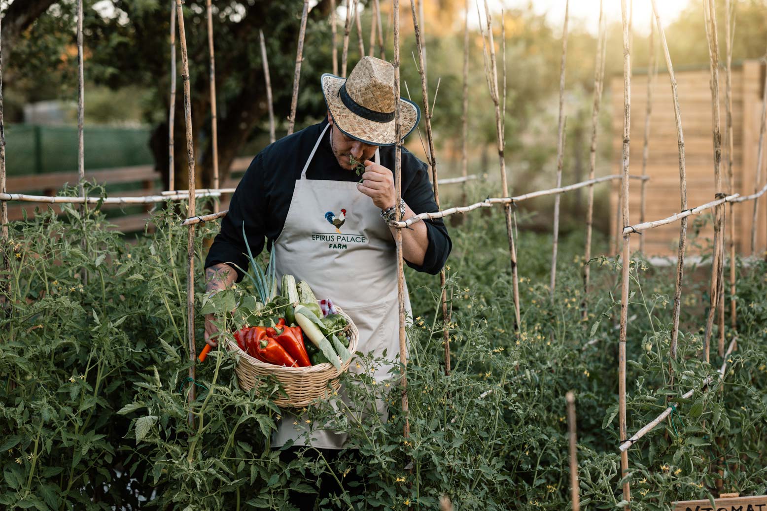 epirus-palace-farm-16
