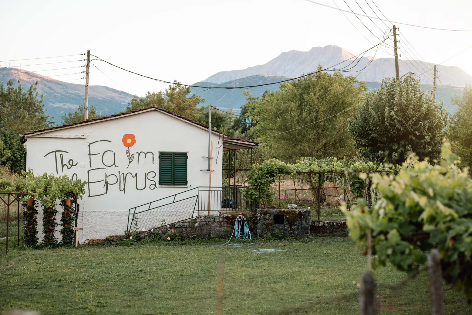 epirus-palace-farm-18