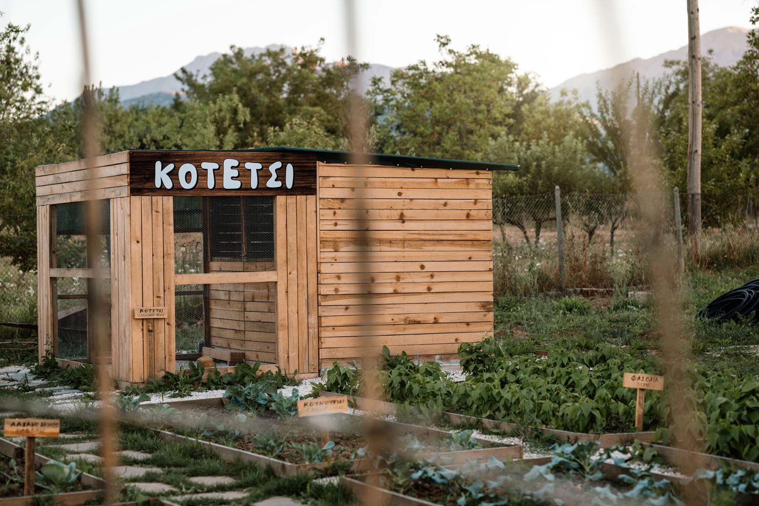 epirus-palace-farm-19