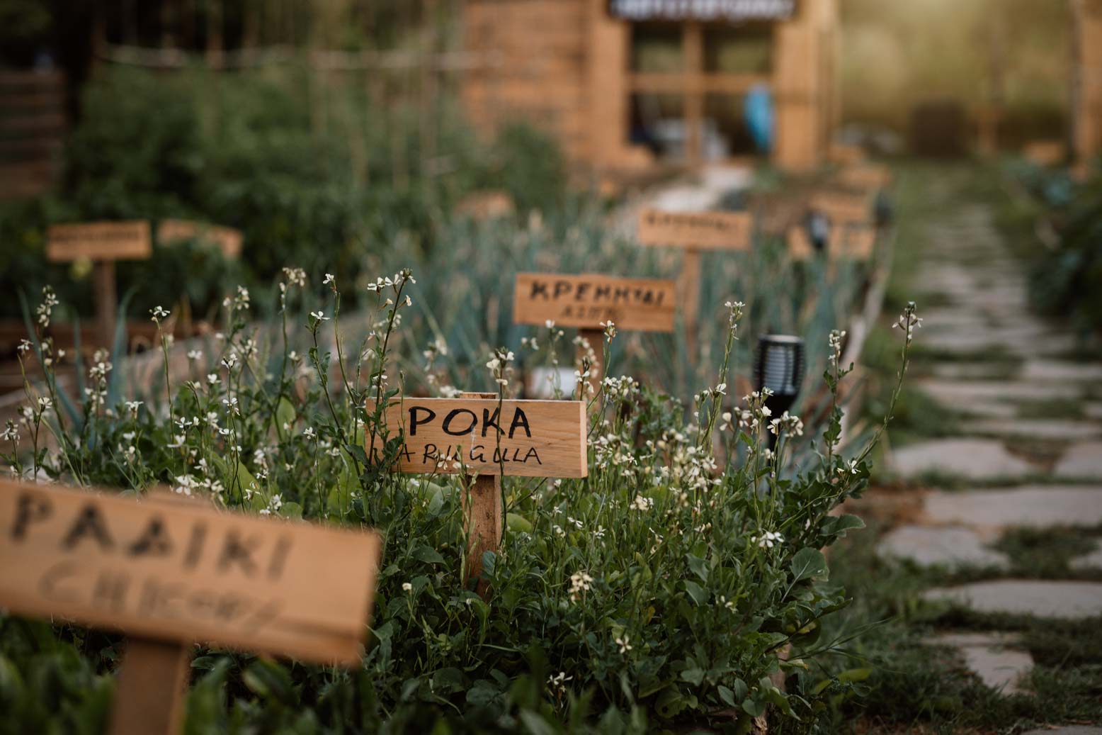 epirus-palace-farm-22