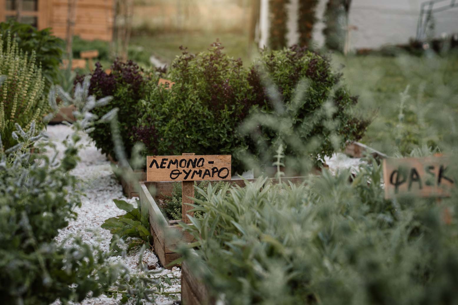 epirus-palace-farm-24