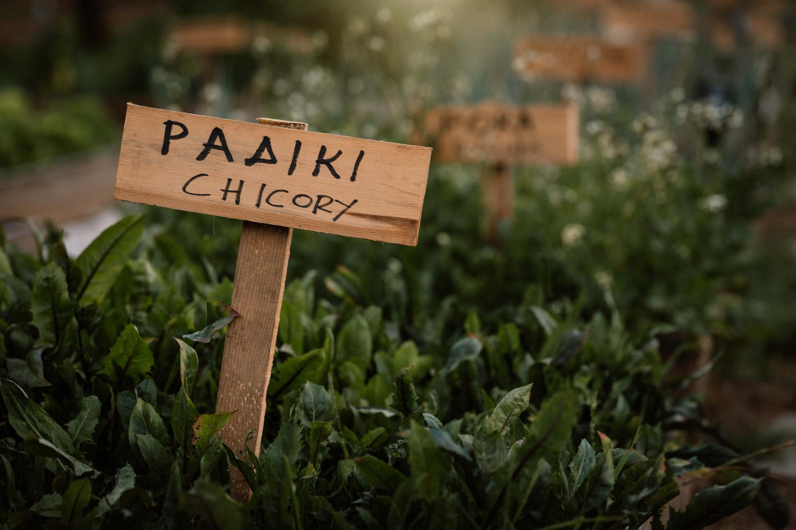 epirus-palace-farm-26