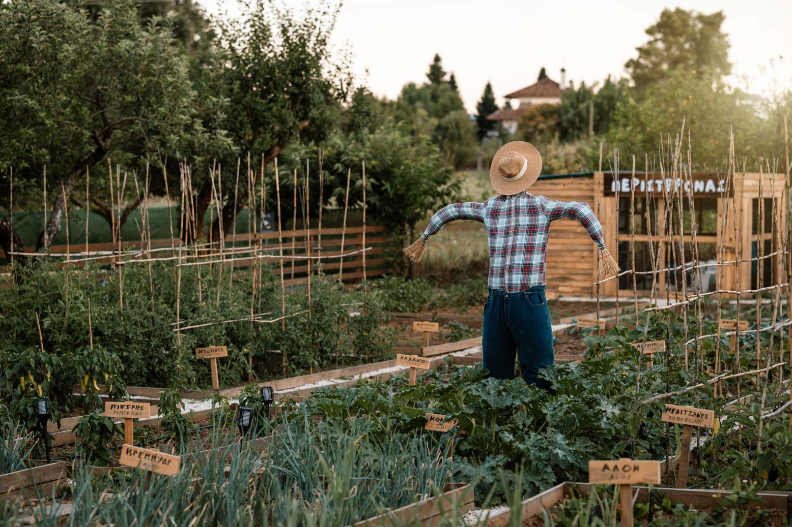 epirus-palace-farm-27