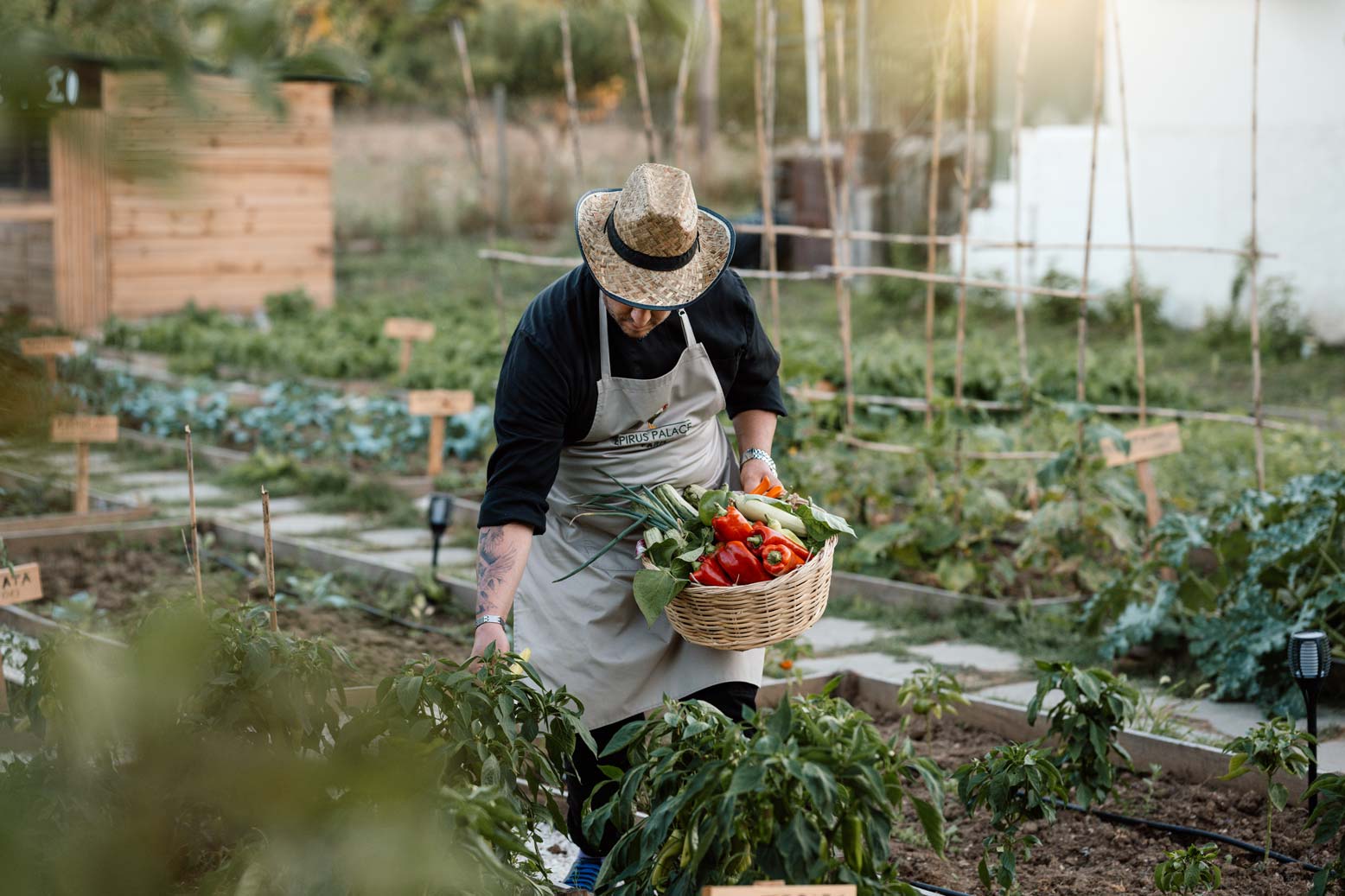 epirus-palace-farm-29