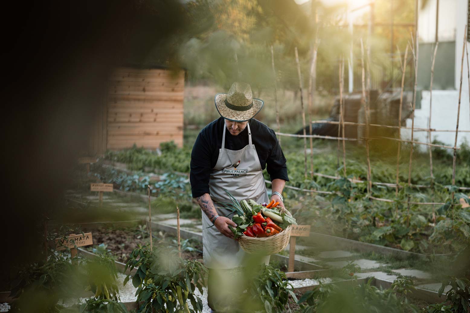 epirus-palace-farm-30