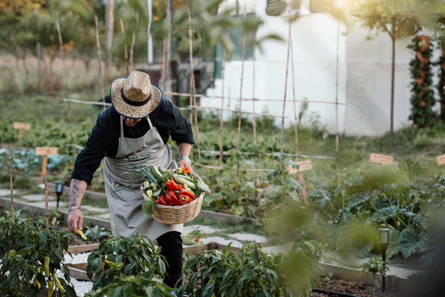epirus-palace-farm-32