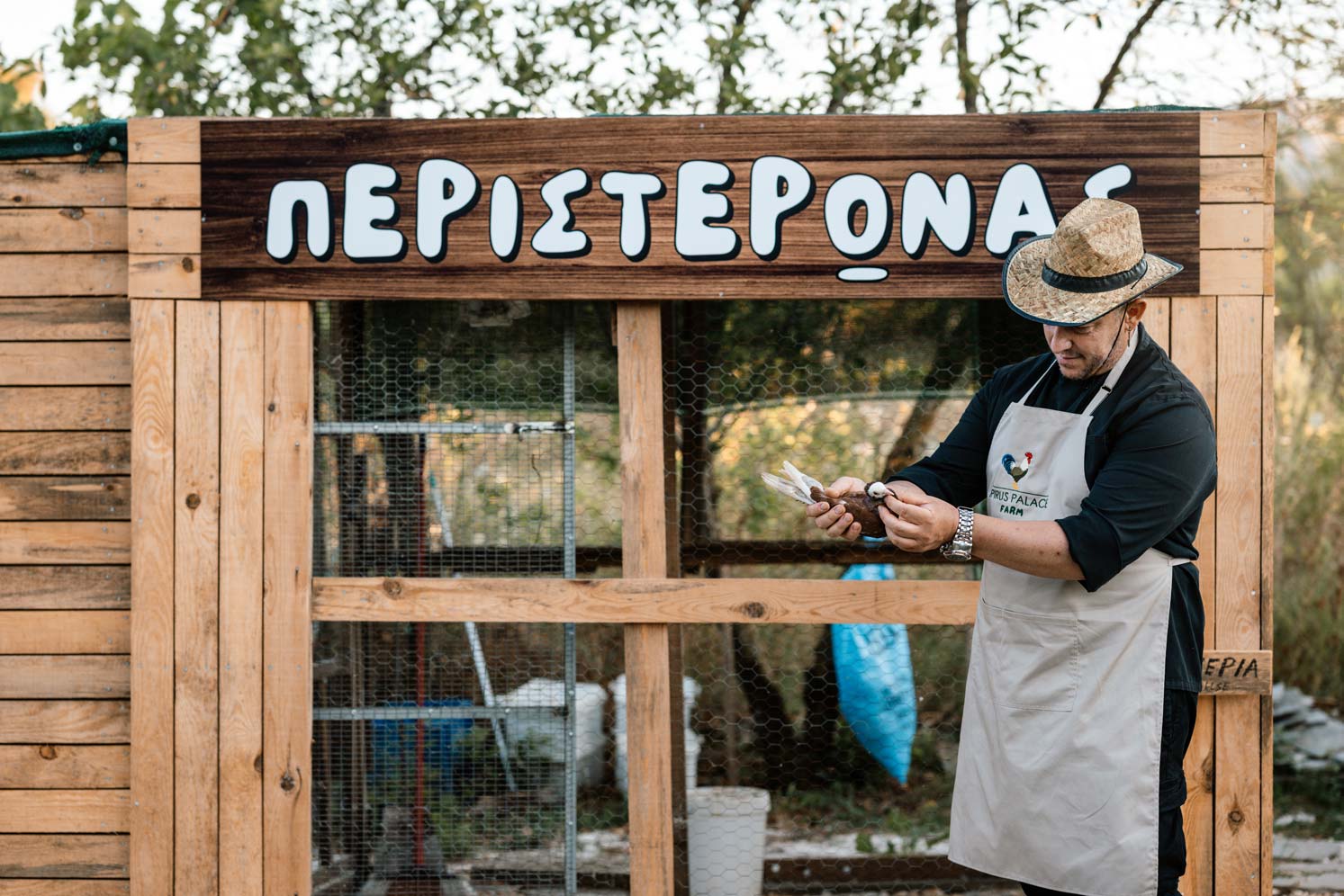 epirus-palace-farm-33