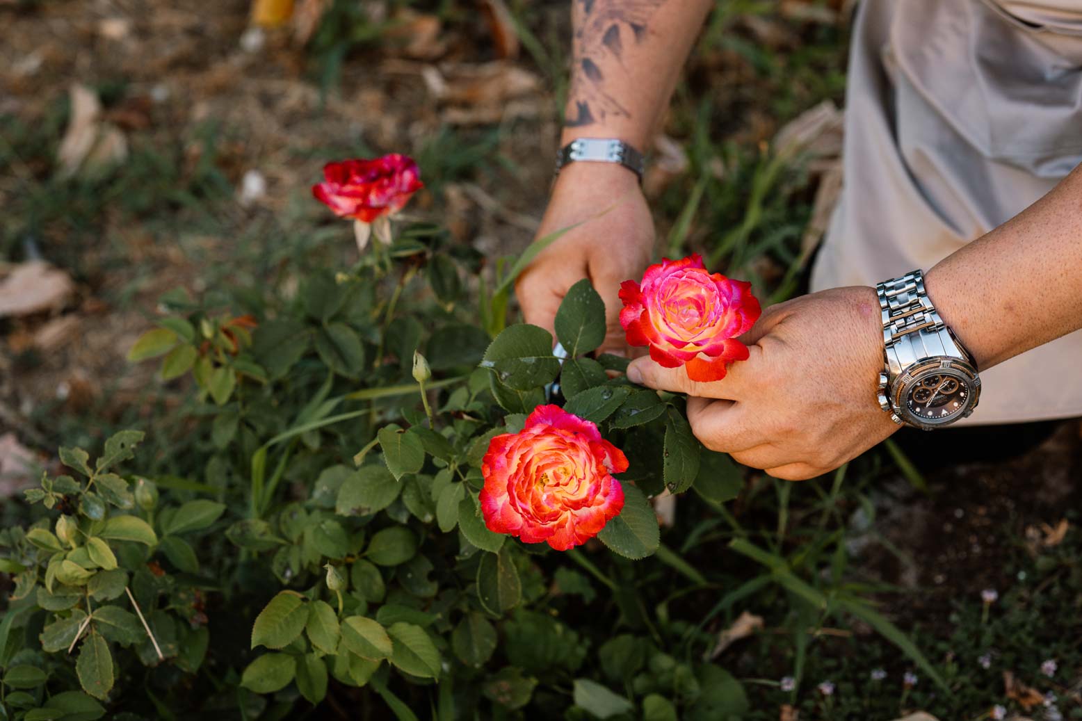 epirus-palace-farm-36