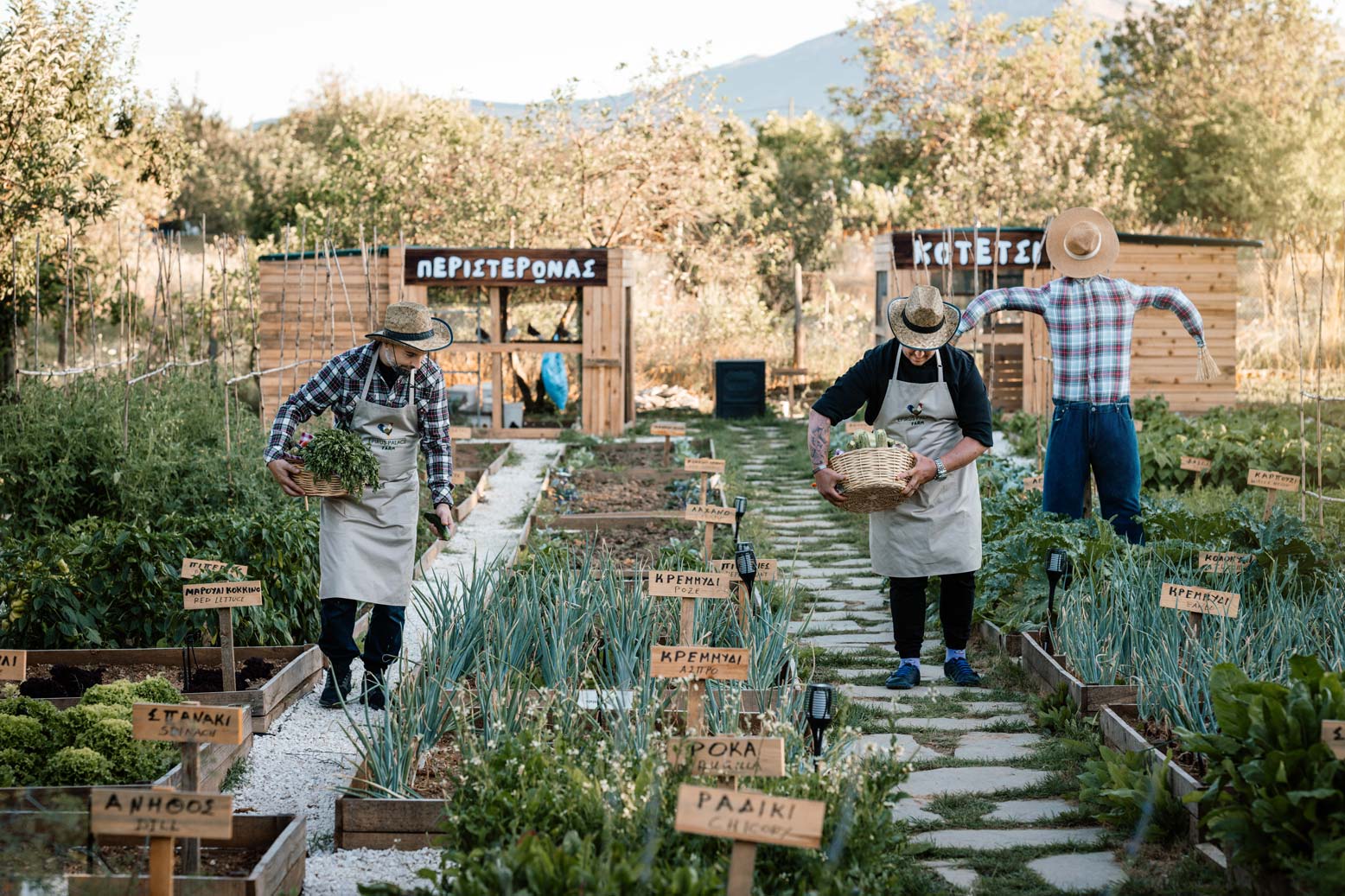 epirus-palace-farm-39