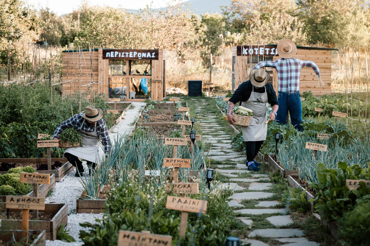 epirus-palace-farm-40