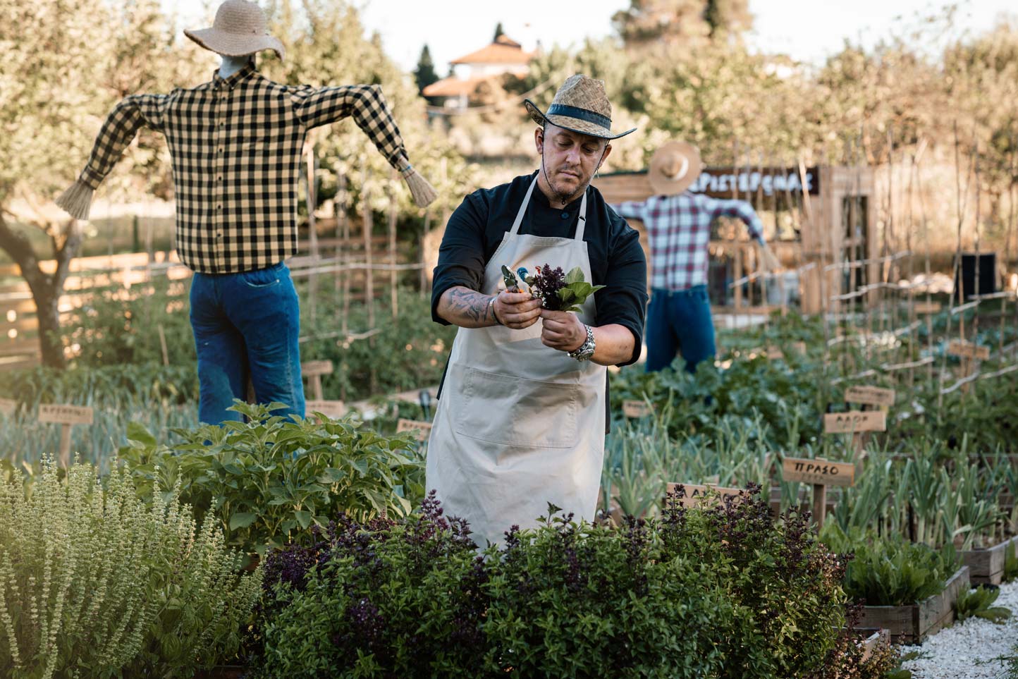 epirus-palace-farm-42