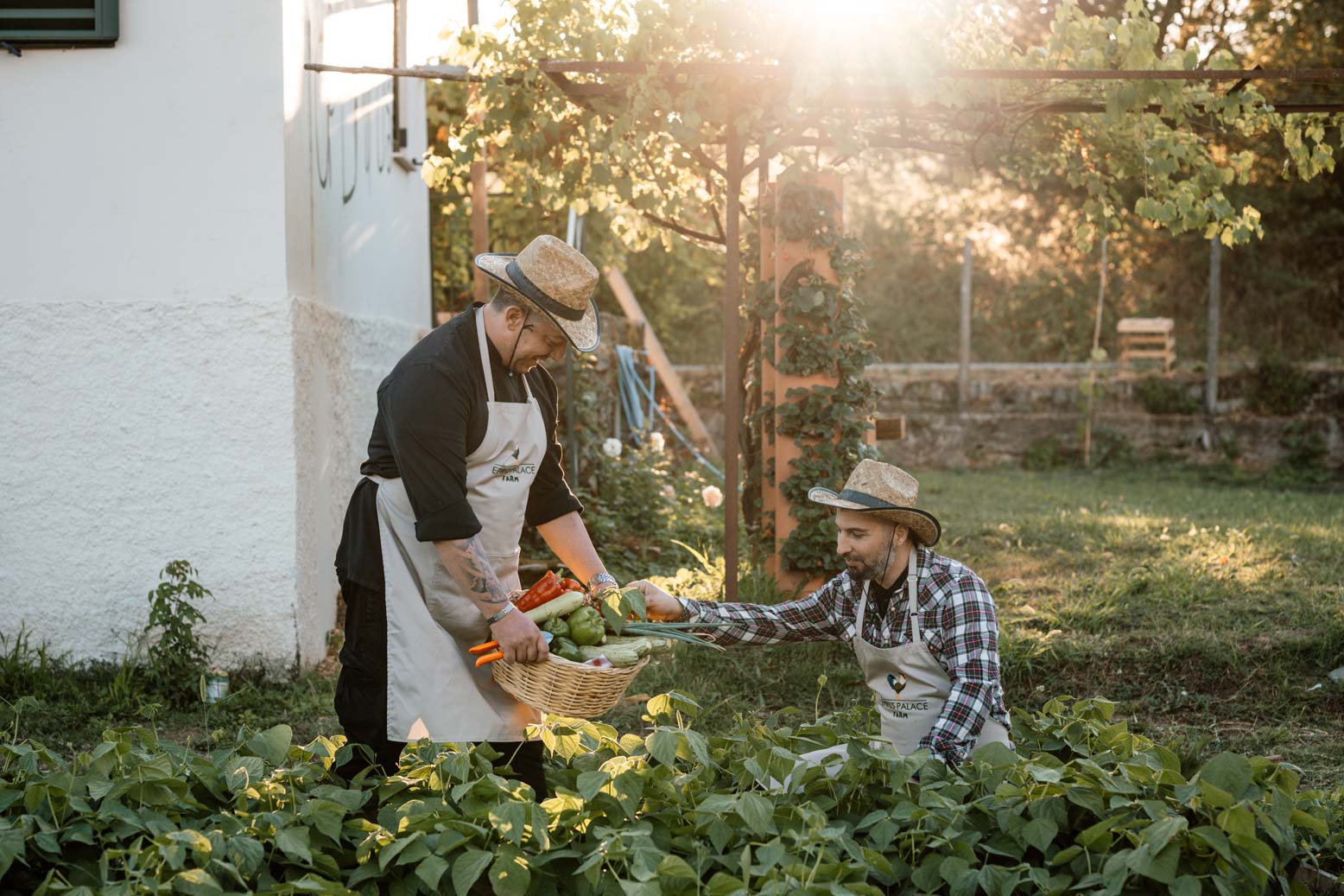 epirus-palace-farm-43