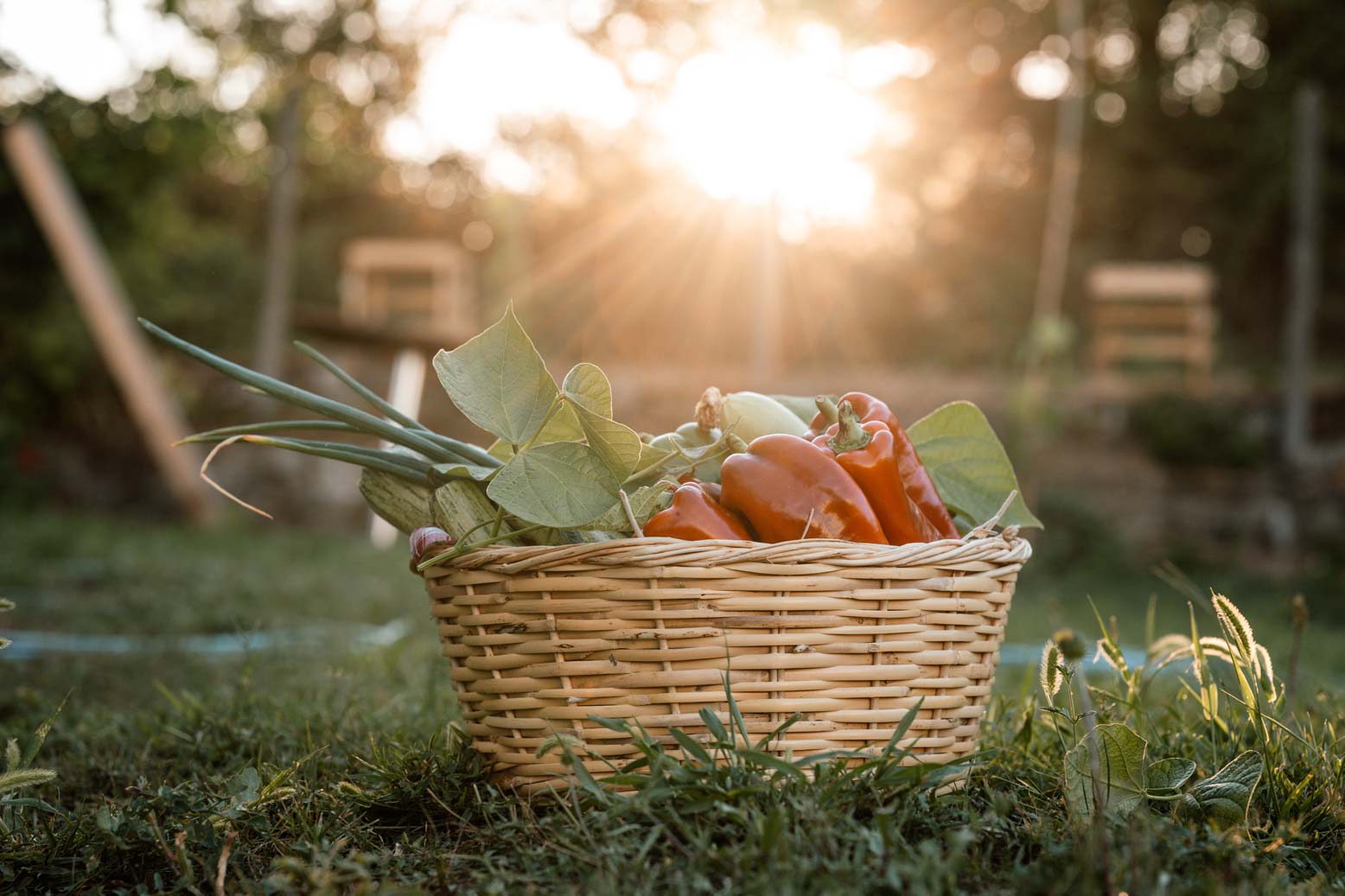 epirus-palace-farm-44