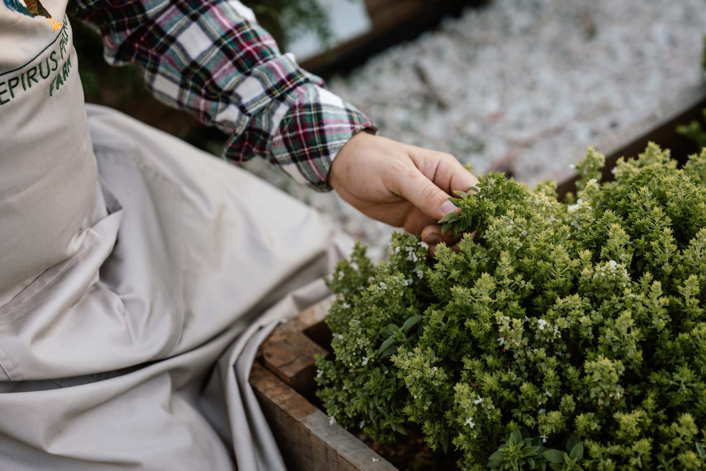 epirus-palace-farm-45