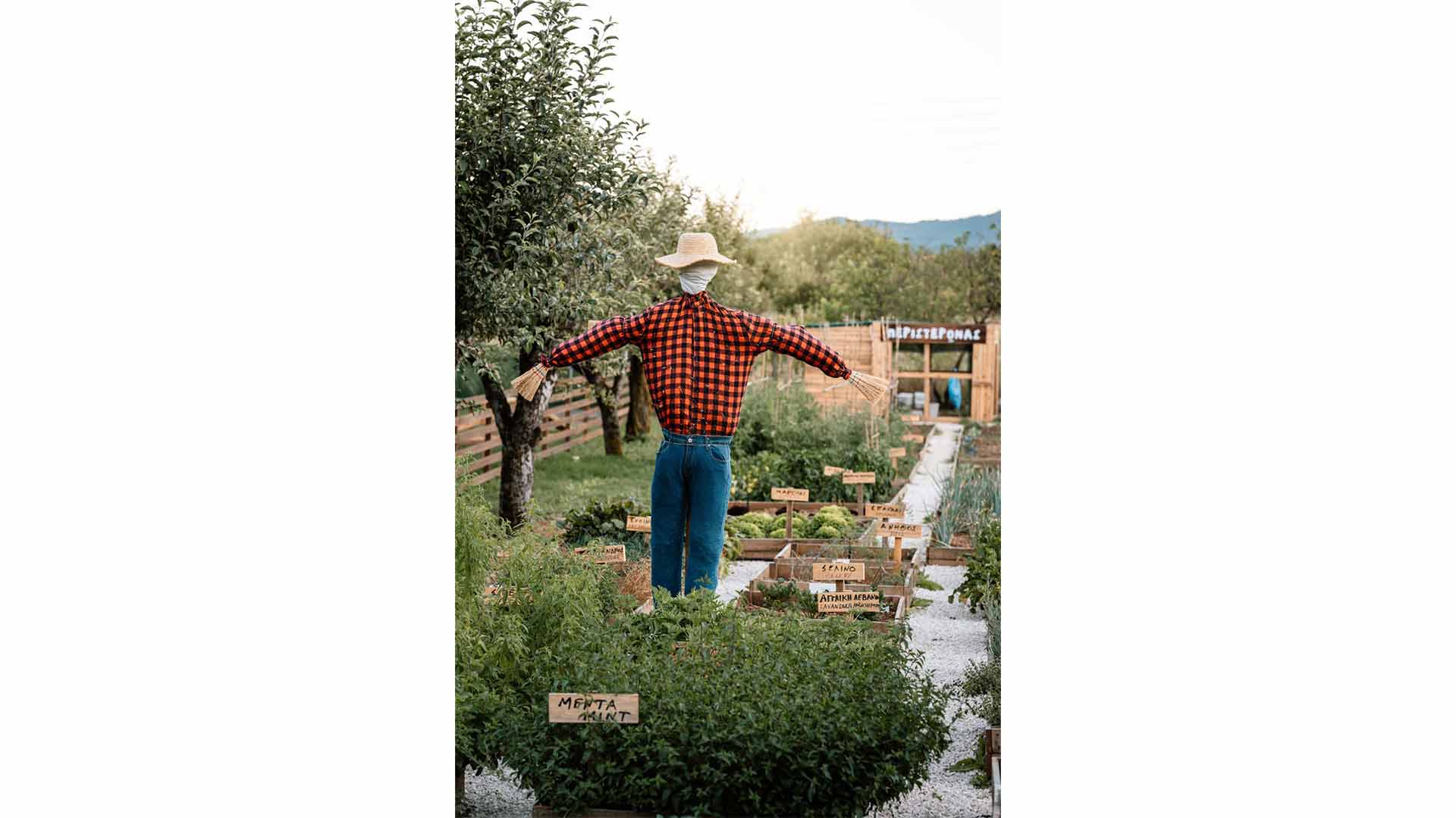 epirus-palace-farm-48