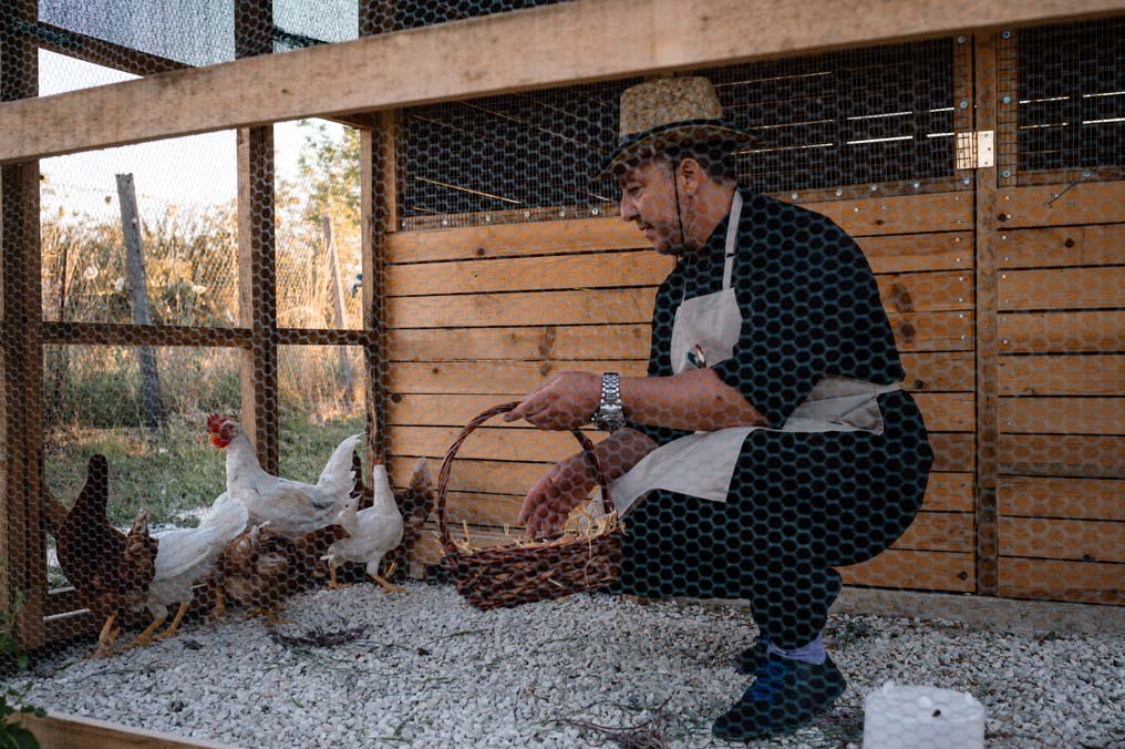 epirus-palace-farm-7