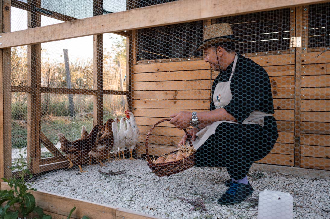 epirus-palace-farm-8