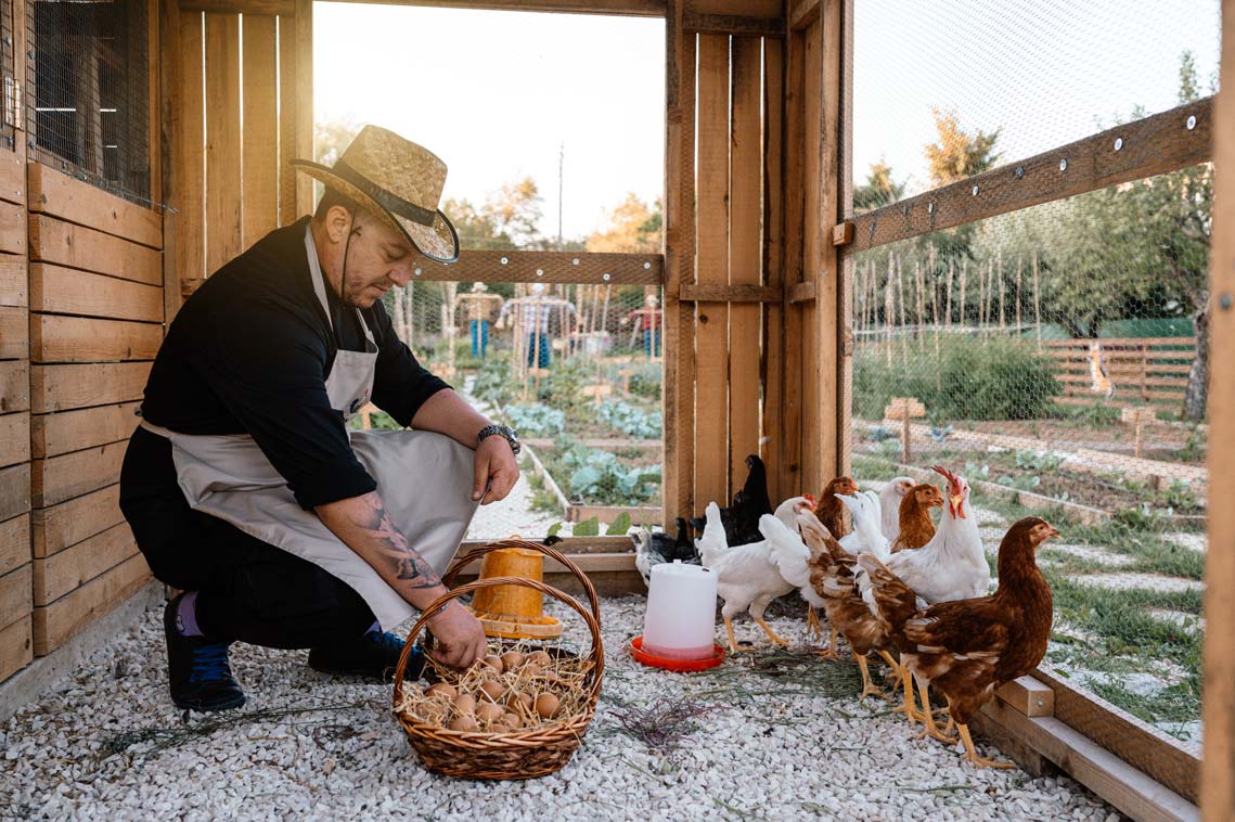 epirus-palace-farm-9