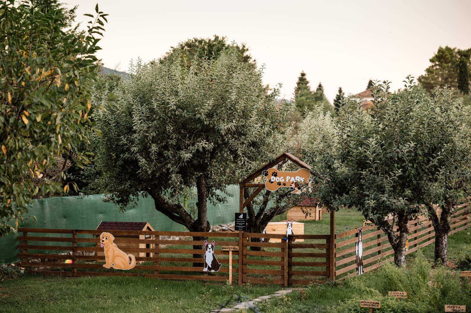 epirus-palace-dog-park-1