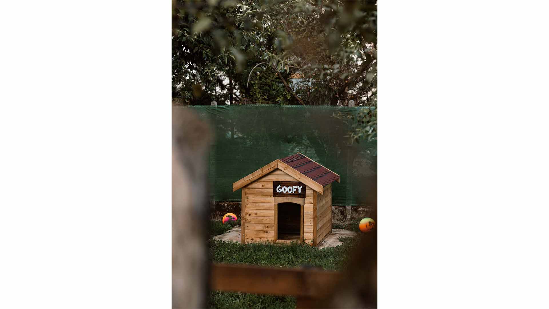 epirus-palace-dog-park-15