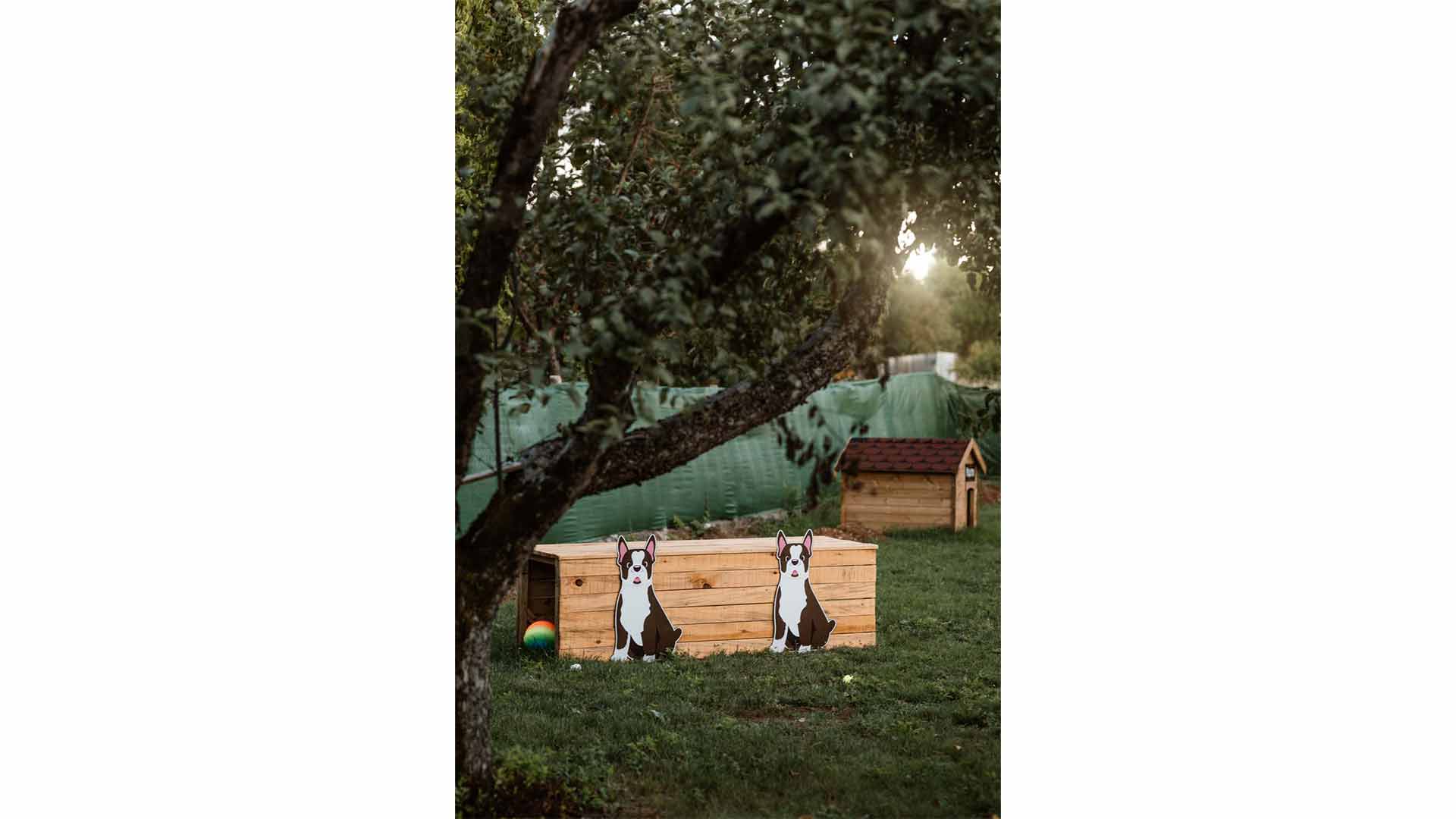 epirus-palace-dog-park-16