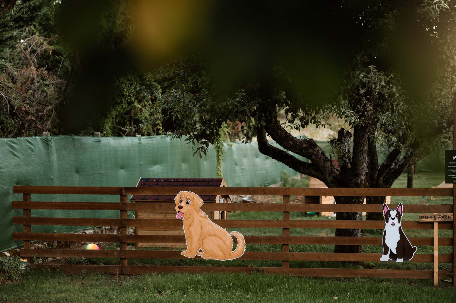 epirus-palace-dog-park-2